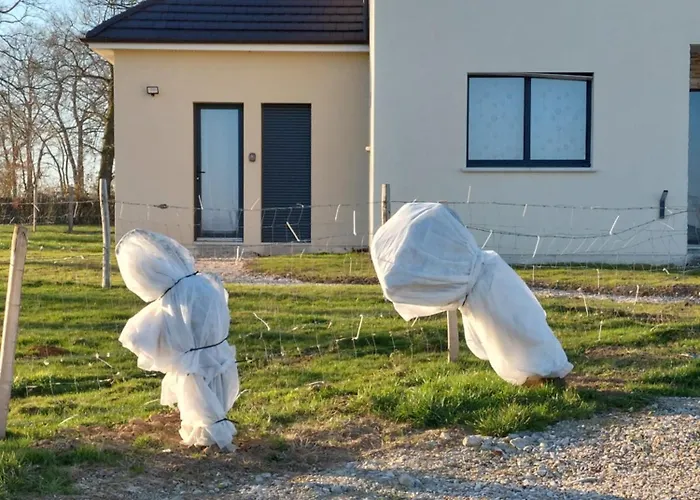 à La Campagne, 5 Minutes De L'autoroute * Vieux-Manoir